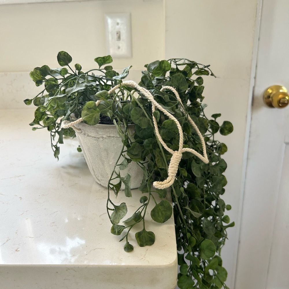 Crate and Barrel Hanging Pothos-Style Faux Plant in Concrete Pot